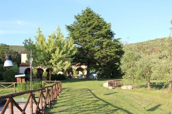 Agriturismo San Valentino Amelia Exterior photo